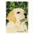 Labrador