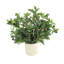 Faux Olive Tree Plant in Fiberstone Pot