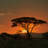 End Of A Safari Day - Wrapped Canvas Print