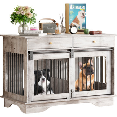 Dog House