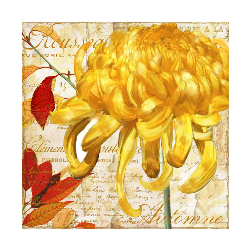 Art sur toile Sasha Chrysanthèmes II_ALI73153, H 14 po x l 14 po