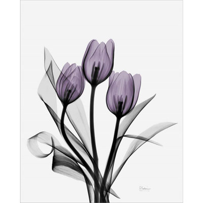 «Three Mauve Tulips» par Albert Koetsier, impression sur toile tendue