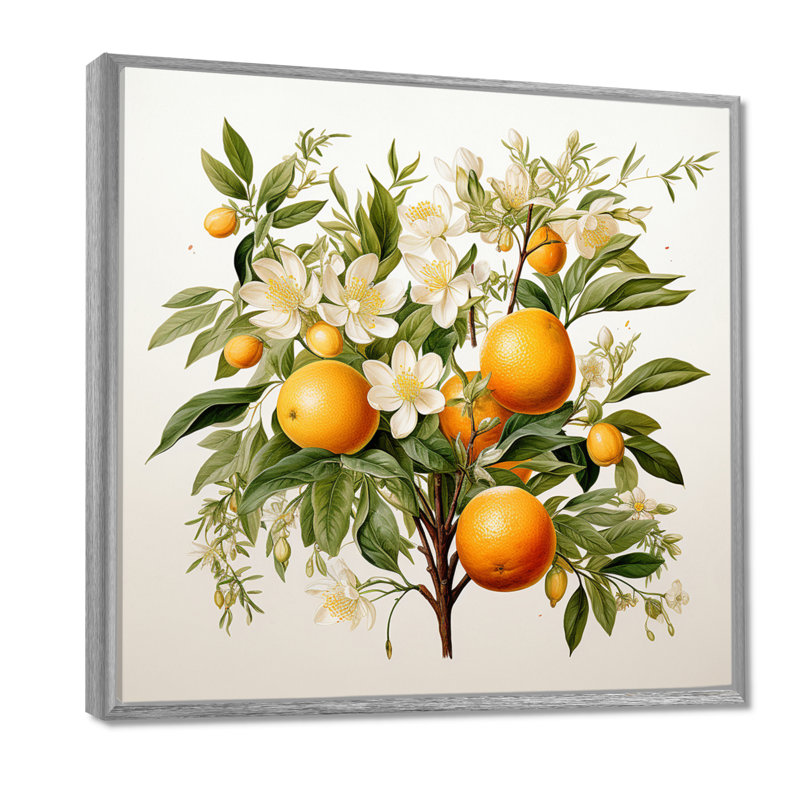 Fruit, art mural sur toile, arbre, reproduction botanique, H 24 po x l 24 po x P 1 po, Encadrement argenté