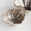 Ostra Decorative Bowls-849457863