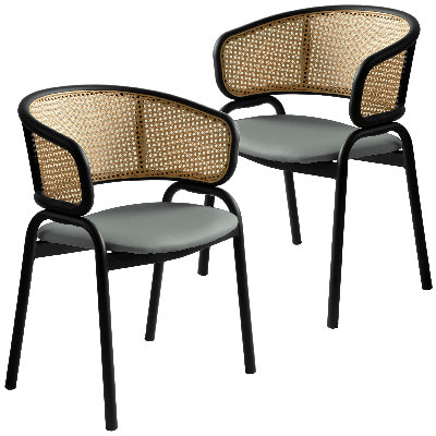 Daishun Dining Chair Upholstered In Leather With Curved Wicker Back Armchair And Powder-Coated Stainless Steel Frame And Legs Daishun Collection