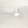 Karlena Ceiling Fan with LED Lights and Remote Control