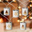 10 lumières de Noël lanterne en métal blanc chaud B / O - fil transparent 6,25 pi