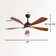 Damecia 52'' Modern Ceiling Fan with LED Light and Remote Control