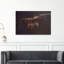 Creeping Colony Contemporary Ant Nature Wildlife Wall Art Print 1 Piece Wrapped Canvas Wall Art-814250334