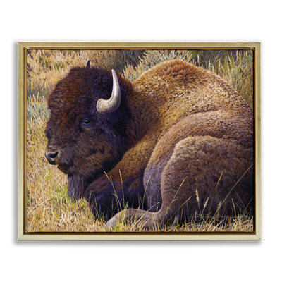 «Relaxing Young Bison Gray» par Rod Lawrence