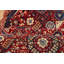 Aryana Wool Oriental Area Rug