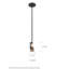 Luminaire suspendu à 1 lumière Tommie