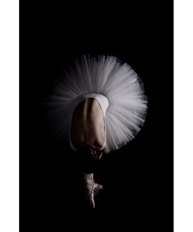 Wrapped Canvas Print, 76.2 cm H x 50.8 cm W