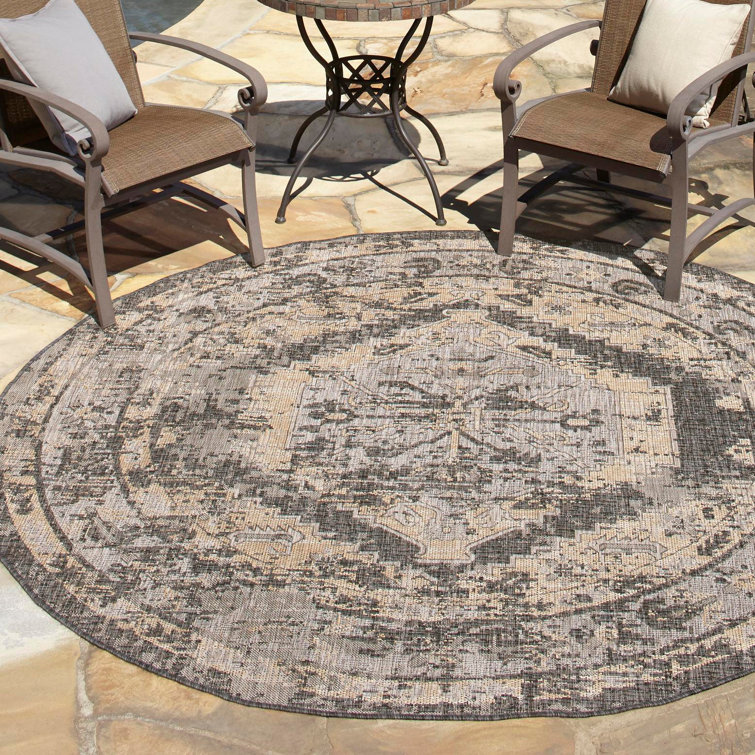 Susan Oriental Indoor / Outdoor Rug