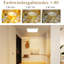 Dayenne Plastic LED Flush Mount-1202851158