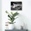 «Siren's Song 3 B&W» par Rick Berk, 16 po x 12 po
