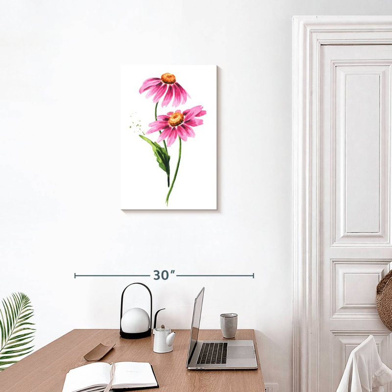 Echinacea Purpurea Flowers, 24" H x 16" W