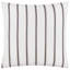 Ashritha Striped Cushion Cover-1842004732-1842004733