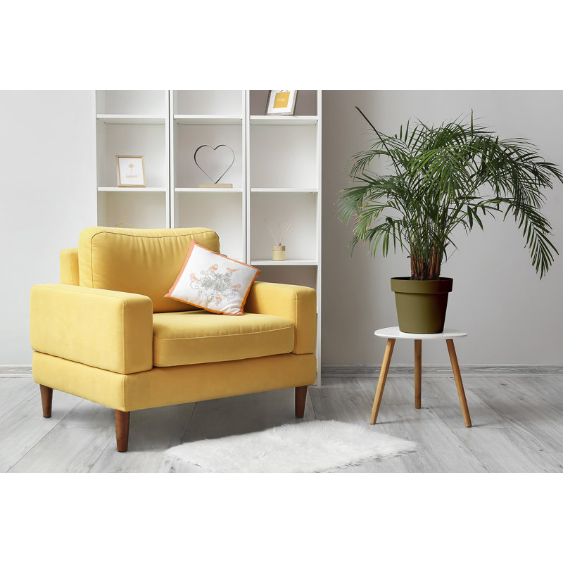 Coussin décoratif oiseaux et fleurs PFN1622OR9, H 16 po x l 16 po, Carré