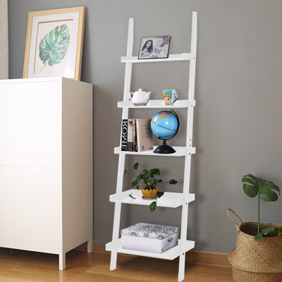 Luz Ladder Bookcase