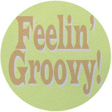 Feelin Groovy Celadon 16" Vinyl Placemat