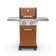 Permasteel 2-Burner Compact Propane Gas Grill with Foldable Side Tables and Grilling Tool Hooks