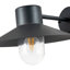 Ivy 22cm H Outdoor Barn Light