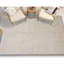 Area Rug in Ivory/Gray-1331798687-1303203783