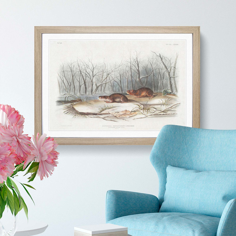 Meadow Mouse by J.W. Audubon - Picture Frame Painting Print, Oak Framed, 48cm H x 65cm W x 2cm D