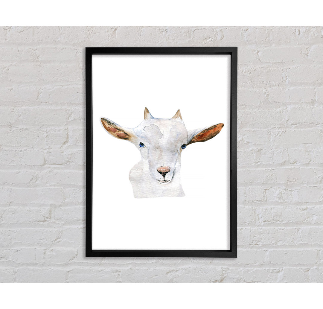 Baby Goat Face - Einzelner Bilderrahmen Kunstdrucke auf Leinwand