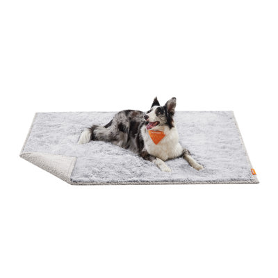 Couvertures pour chien