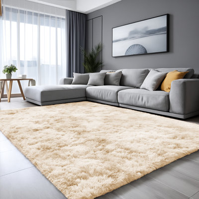 Abbotsen Solid Colour Shag Area Rug