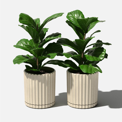 Veradek Demi Series 6" Planter