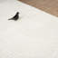 Tapis crème Abani Murtie NTL160A-389864662