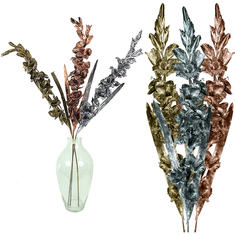 Tiges de gladiola, Bronze