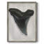 «Watercolor Sharks Tooth I», reproduction encadrée - bois massif-873959293