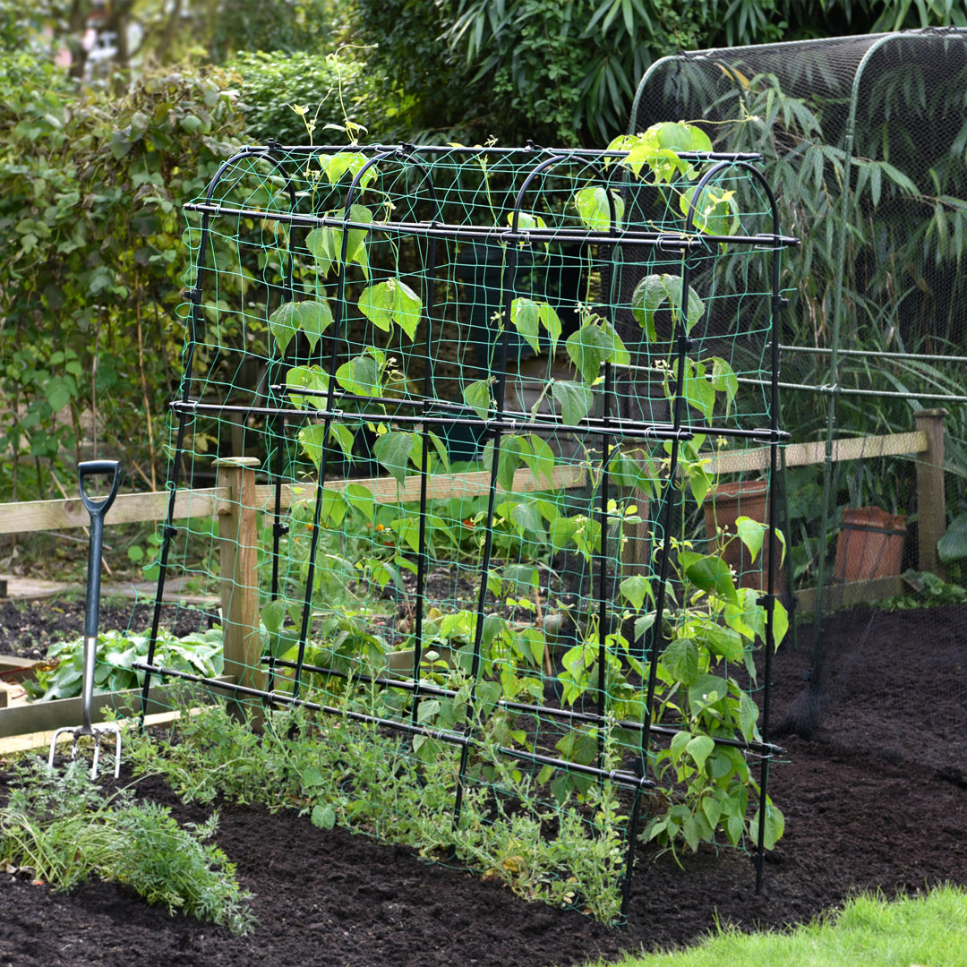 Bruzios 180cm H x 180cm W Vinyl Arched Trellis