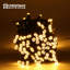 10.7cm LED Indoor / Outdoor String Lights