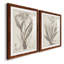 «Sepia Exotic Plants VII», ensemble de 2 reproductions d'art sur papier encadré-620715072-620715075