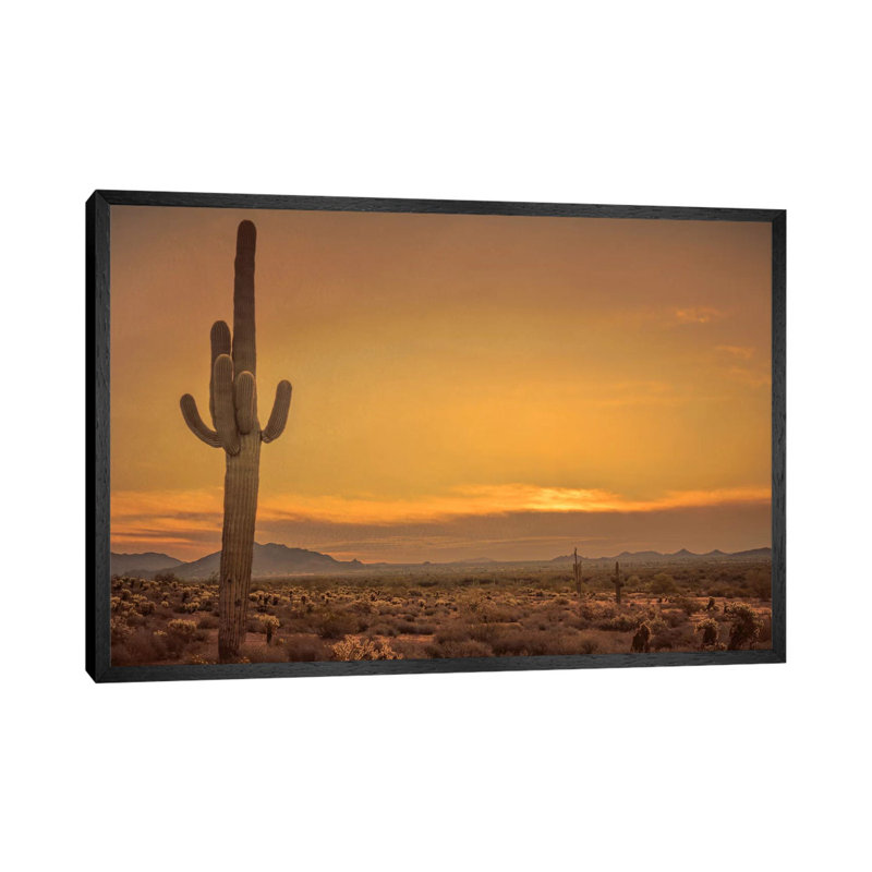 Cactus Sunrise by Don Schwartz - Floater Frame Print on Canvas, 101.6 cm H x 66.04 cm W, Black Framed