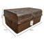Agler Handmade Decorative Trunk