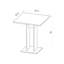 Tayo Pedestal Coffee Table