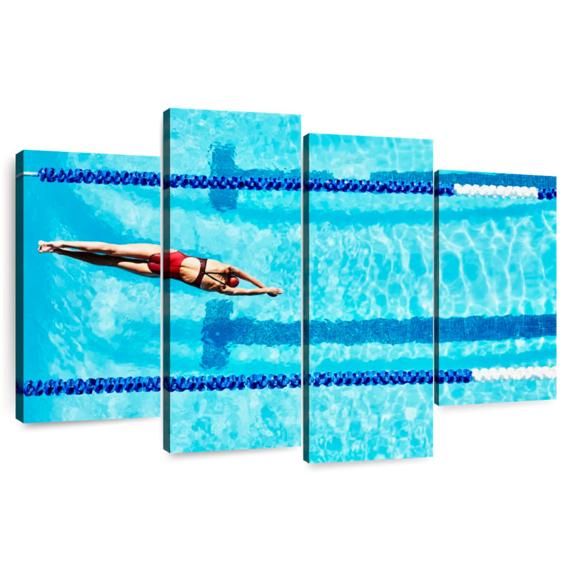 Sireci Competitive Swimming Athlete, 54" H x 84" W