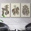 Sépia Botanical Journal VI 3 pièces-97711660-97711662