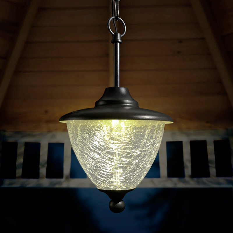 Eton LED Outdoor Pendant