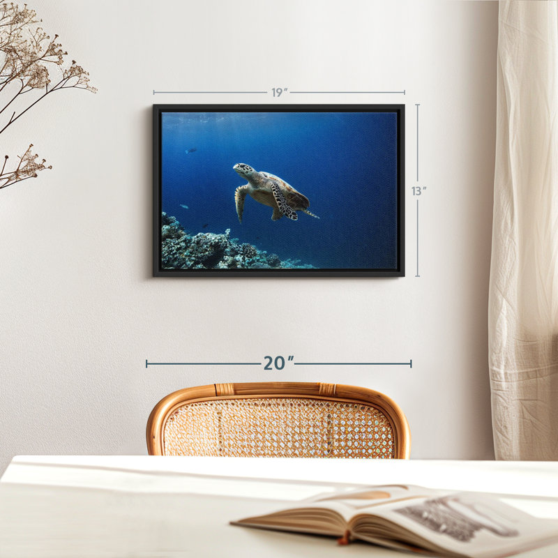 «Turtle Adventure», reproduction sur toile, H 13 po x l 19 po