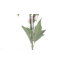 Rose artificiel Frangia 27 po-23353338
