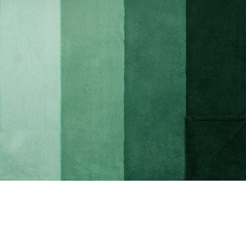 Jeté de lit Fluffy Sherpa, Lit simple, Dégradé / vert