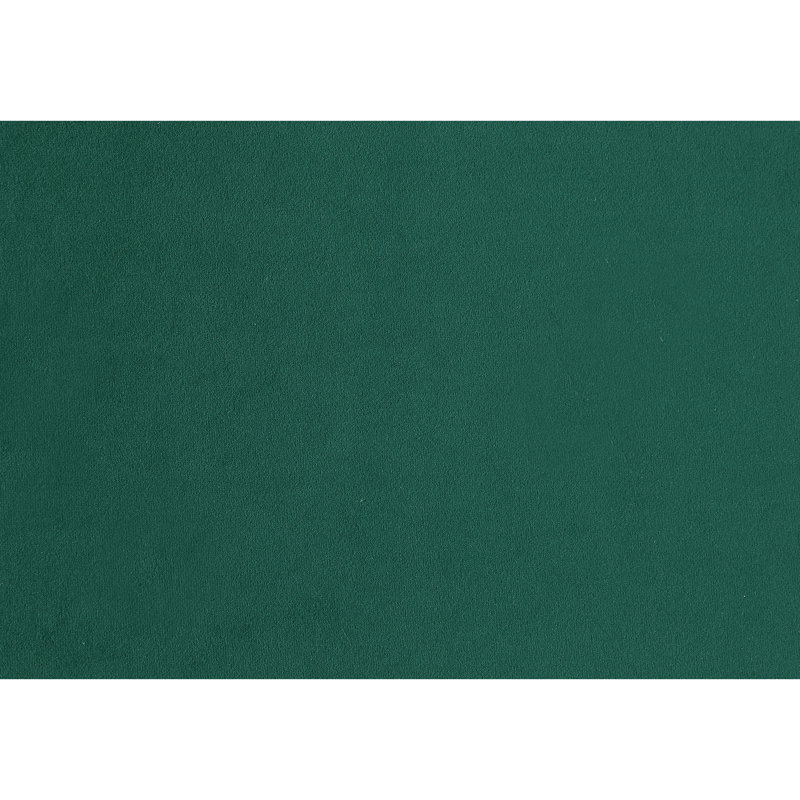 Ensemble de chaises d'appoint rembourrées 2 pièces, Vert