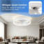 Ventilateur de plafond à cage, lampe de ventilateur d'intérieur à profil bas, luminaire à DEL à intensité variable, flux d'air réversible, conception de moteur à courant continu silencieux-130187101